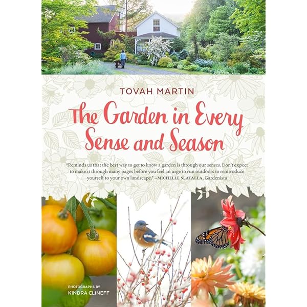 Amazon.com: A Time to Blossom: 9780618086153: Martin, Tovah, Brown